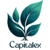 capitalex-logo